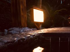 -明月山天沐温泉度假村