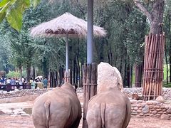 -北京野生动物园