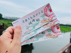 -荷塘月色湿地公园·向阳花洲