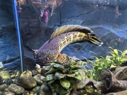 -Zoolung Zoolung动物主题公园(海信广场店)