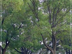 -岳阳市博物馆