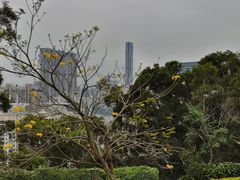 -狐尾山公园