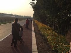 -上海长兴岛郊野公园