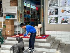 -翊宠yipet猫狗购宠庄园