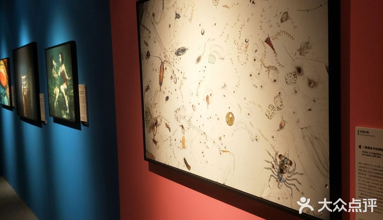 成都展览ㄧ国家地理经典摄影大展–西南首展