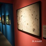 成都展览ㄧ国家地理经典摄影大展–西南首展