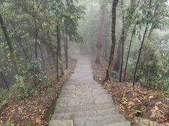 -缙云山景区
