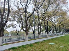 -渤公岛生态公园