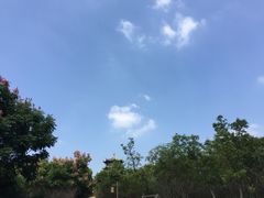 -梁鸿国家湿地公园