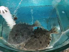 -聚德福海鲜家常菜(刘庄店)