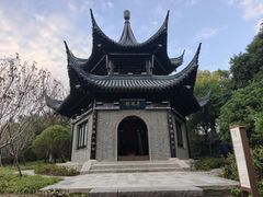 -溱湖国家湿地公园