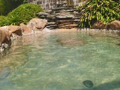 -崇阳三特浪口温泉