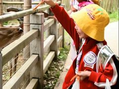 -清岚画室少儿美术培训(平江校区)