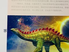 -大连自然博物馆