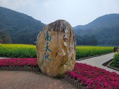 -广州市石门国家森林公园