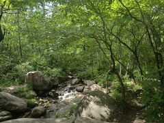 -玉渡山自然风景区