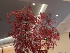-蜜桃餐厅·伴山(海岸城店)