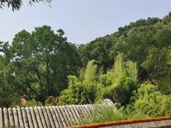 -潭柘寺景区