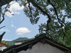 -塔川景区