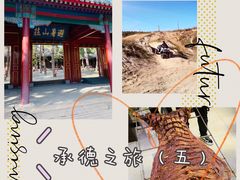 -塞罕坝国家级自然保护区