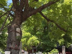 -潭柘寺景区