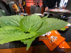 -四斤烤肉(东戴河孟家店)