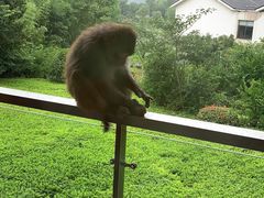 -苏州环秀晓筑养生度假村