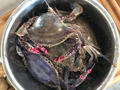 -77号渔船·蒸海鲜青岛菜(积米崖店)