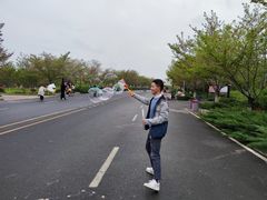 -古柏渡飞黄旅游区