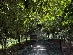 -东明山森林公园