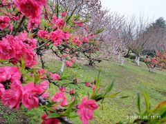 -白塘生态植物园