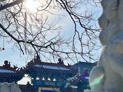 -荣国府