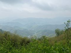 -莫干山风景区
