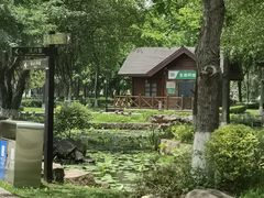 -河泥荡文化公园