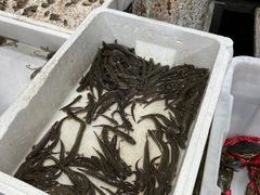 -西门岛码头海鲜馆