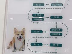 -瑞派康怡24h宠物医院·犬猫医疗中心·微创绝育(瑞景分院)