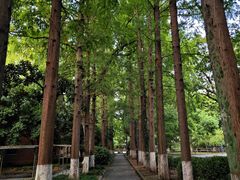 -苏州大学(天赐庄校区)
