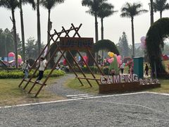 -东南花都花博园