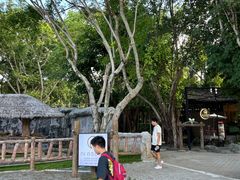 -清迈夜间动物园