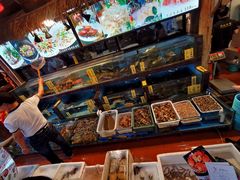 -凤城·食都
