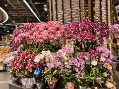 -Olé精品超市(广州太古汇店)