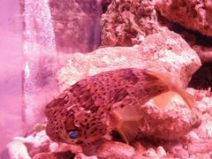 -多彩贵州城极地海洋世界