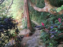 -深圳仙湖植物园-停车场