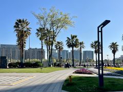 -金沙湖公园
