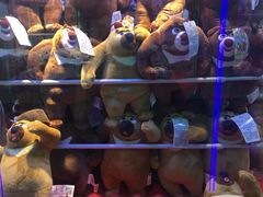-汤姆熊欢乐世界(光启城店)
