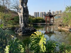 -广州神农草堂中医药博物馆