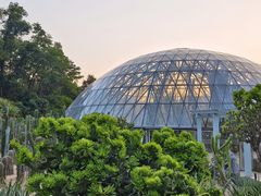 -深圳仙湖植物园