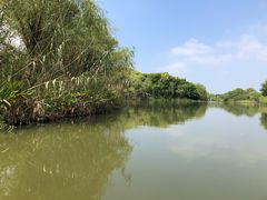 -梁鸿国家湿地公园