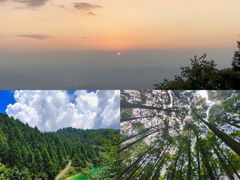 -武陵山森林公园