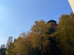 -复旦大学附属华山医院(总院)